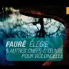 Faure: Elegie et autres chefs-d'oeuvres pour violoncelle album lyrics, reviews, download