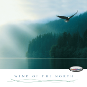 Wind of the North: Irish Celtic Music (Stimulating, for a Positive, Optimistic Mood) - Santec Music Orchestra