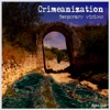 Temporary Visions - Single