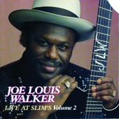 Joe Louis Walker - Just A Little Bit