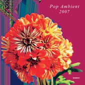 Pop Ambient 2007 artwork