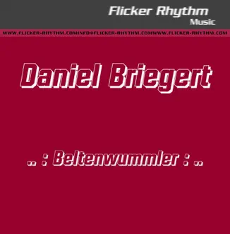 BeltenWummler - EP by Daniel Briegert album reviews, ratings, credits