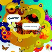 Quantic - Primate Boogaloo