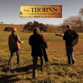 The Thorns - No Blue Sky