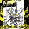 Entropy - Gross National Product