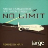 No Limit (feat. Byron Stingily)