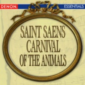 Saint-Saens: Carnival of the Animals artwork