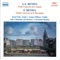 Violin Concerto in E flat major: I. Allegretto artwork