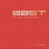 East Volume Cinnamon (By Ping), 2011