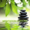 Meditation Lessons - Pulse of Life, 2011
