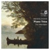 Trio Wanderer, Gürzenich-Orchester Kölner Philharmoniker & James Conlon - Piano Trio No. 2 in C Minor, Op. 66: IV. Finale: Allegro Appassionato