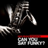 Mad Music Presents Can You Say Funky?