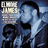 Elmore James - Look On Yonder Wall
