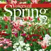 Voices of Spring, Waltz, Op. 410 song lyrics