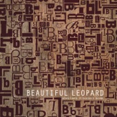Beautiful Leopard - A First Sight