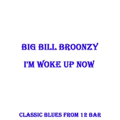 I'm Woke Up Now - Big Bill Broonzy