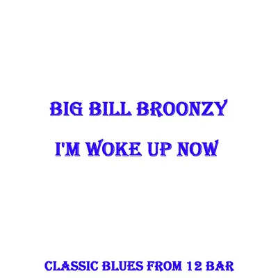 I'm Woke Up Now - Big Bill Broonzy
