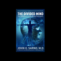 John E. Sarno - The Divided Mind artwork