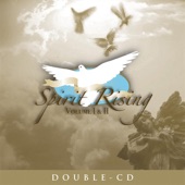 Spirit Rising Vol. I & II (Album Version) artwork