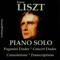 Consolations, Six Poetic Thoughts in D-Flat Major, S. 172: Iii. Consolation No. 3 artwork