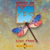 House of Yes: Live from House of Blues, 2004