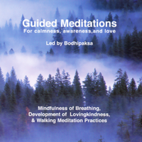 Bodhipaksa - Guided Meditations: For Calmness, Awareness, And Love (Unabridged) artwork