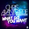 What Do You Want (feat. Postman Marv) - Single album lyrics, reviews, download