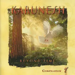 Beyond Time by Karunesh album reviews, ratings, credits