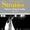 Stream & download Johann Strauss : Trisch-tratsch polka, Op. No. 214 (100 classic masterpieces) - Single