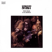 Spirit - Mr. Skin