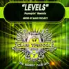 Levels (Pumpin' Remix) - Single album lyrics, reviews, download