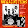 The Raging Teens Vol. 2