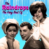 The Raindrops - Hanky Panky