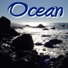Nature Sounds - Ocean