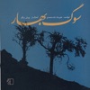 Pooyan Beiglar & Saeed Jalalian - Tasnif Rahnavardan