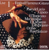 Festival Flamenco Gitano, Vol. 1 (Live) artwork