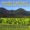 Doug & Sandy McMaster---Hula Blues