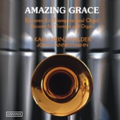 Amazing Grace: II. Thema artwork