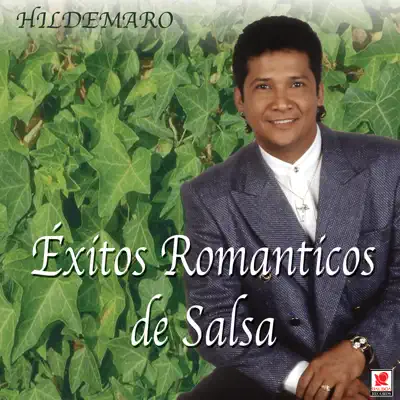 Exitos Romaticos de Salsa - Hildemaro
