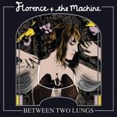 Florence + The Machine - Dog Days Are Over