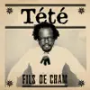 Fils de cham - Single album lyrics, reviews, download