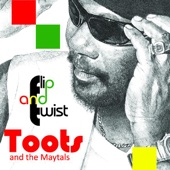 Toots & The Maytals - Higher Ground