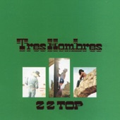 ZZ Top - Beer Drinkers & Hell Raisers