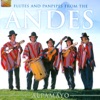 Flutes and Panpipes from the Andes