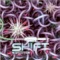 Cerebral Cortex - Shift lyrics