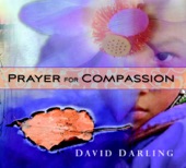 David Darling - Music of a Desire