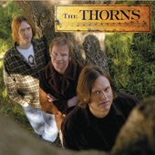 The Thorns - Long, Sweet Summer Night (Live)