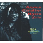 Amina Claudine Myers Trio - Wasted Life Blues
