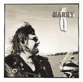 Harry - Als Wikinger bin ich zu spät gebor'n