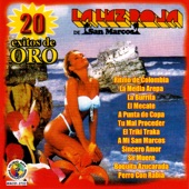 20 Exitos de Oro artwork